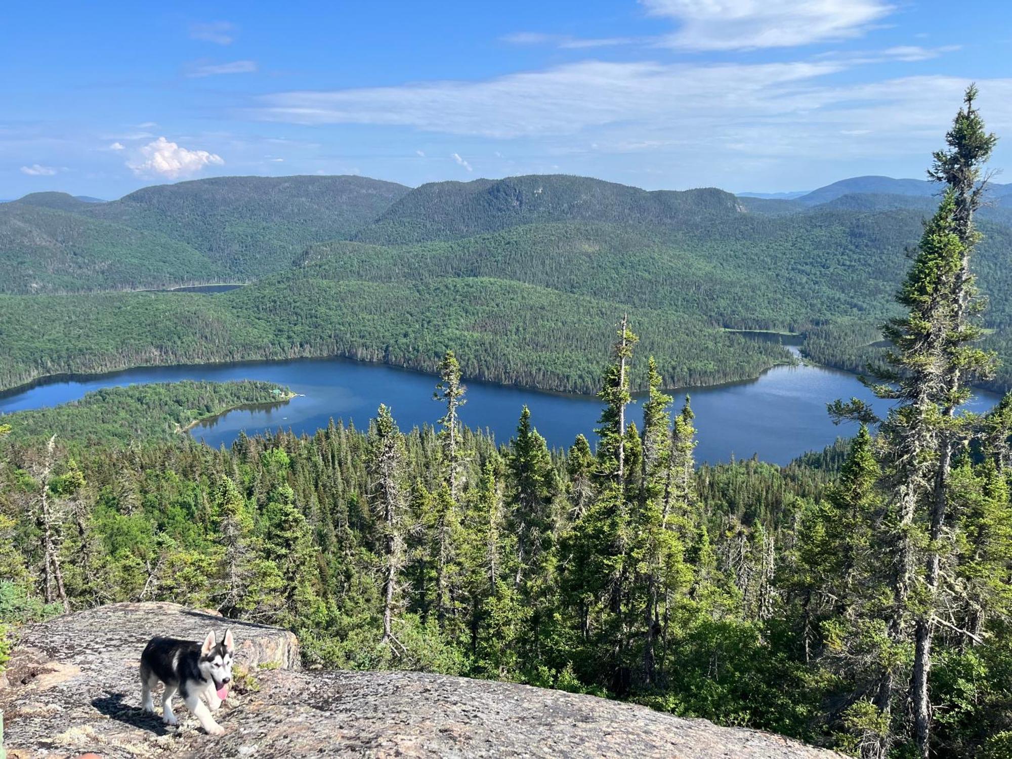 Auberge Boreale De Charlevoix Petit-Saguenay Eksteriør billede